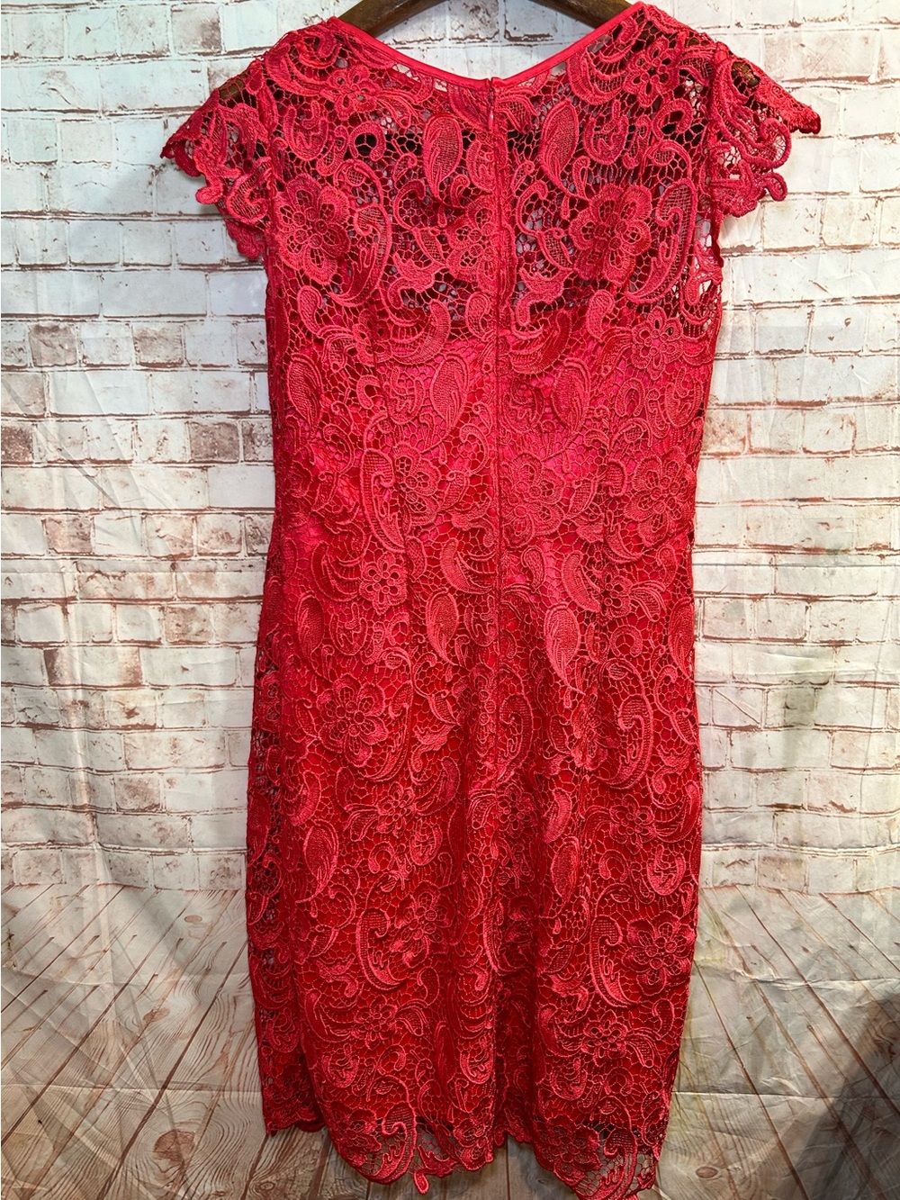 Sténay Coral Red Guipure Lace Sheath Dress Scalloped Elegant Cocktail Chic Midi - Picture 6 of 9